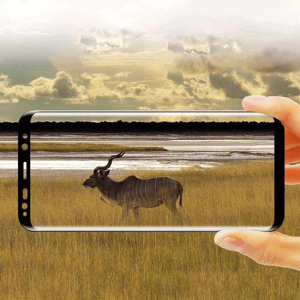 Samsung galaxy note 9 foil